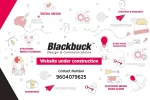 Black buck design studios company logo