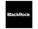 BlackRock Investments company logo