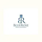 Blue Rose Technologies LLC company logo