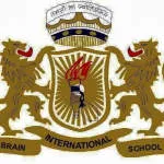 Brain International School company logo