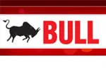 Bull Machine Private Limited company logo