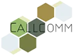 Callcomm company logo