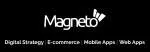 Magneto IT Solutions company logo