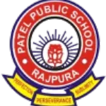 Patel public school company logo