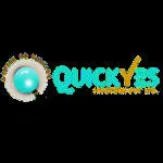 Quickyes Infotech company logo