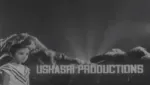 Ushasri Estate Developers Pvt. Ltd. company logo