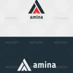 AMINA Group company logo