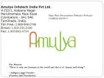 Amulya Infotech India Pvt Ltd company logo