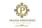 Prap Prajna Ventures Private Limited company logo