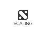 Scaling Structures company logo