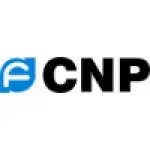 CNP PUMPS INDIA company icon