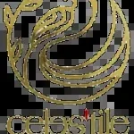 Celestile (S K Marketing Tiles & Taps) company icon