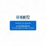Hobotz IT Solutions India Pvt Ltd company icon