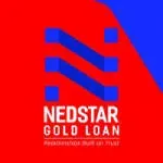 Nedstar Capital India Pvt Ltd company icon