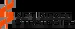 NetImpact Strategies company icon