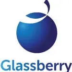 The Glassberry IT Solutions pvt. Ltd company icon