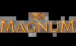 Art Magnum company icon