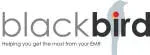 BlackBird Solutions company icon