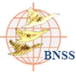 Blue Nile Software Systems Private Limited company icon