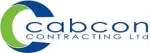 CABCON INDIA LTD company icon