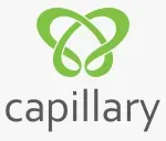 Capillary Technologies India Pvt Ltd company icon