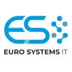 Euro systems company icon
