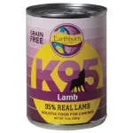 K95 FOODS PRIVATE LIMITED company icon