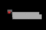 Magna company icon