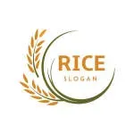 RICE AND FLAVOURS LLP company icon