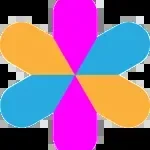Vizuara company icon